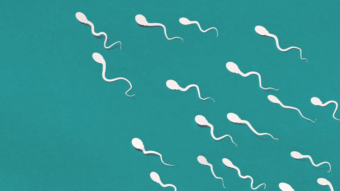 Do you have a low sperm count?