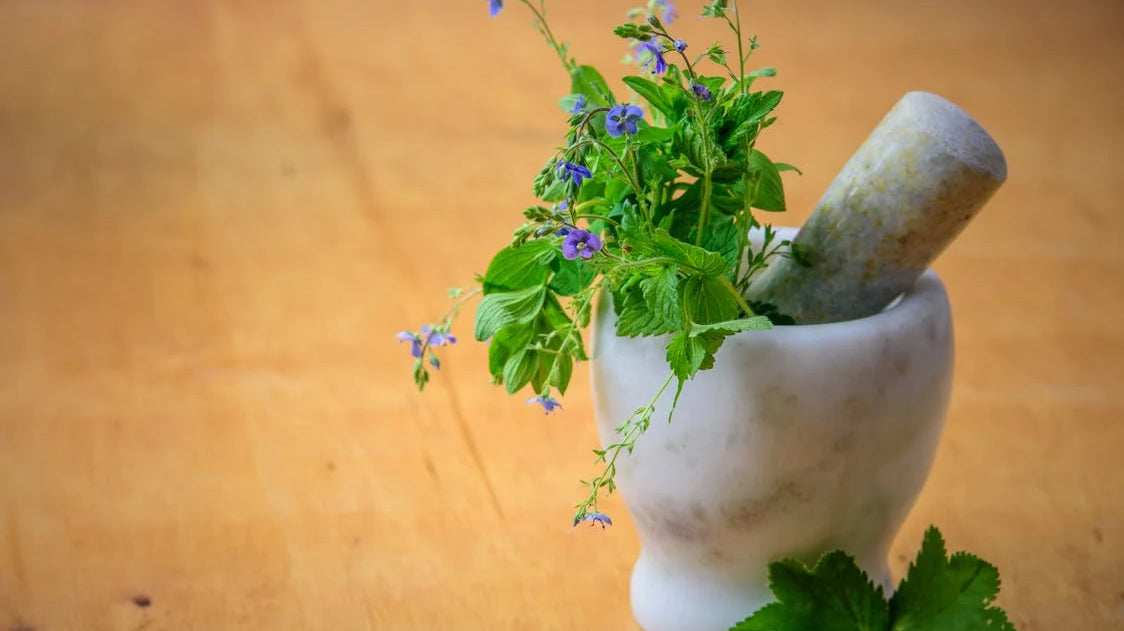 The Science of Herbal Remedies in Sexual Health