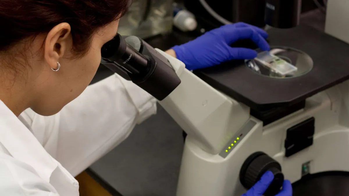 Kisspeptin hormone research