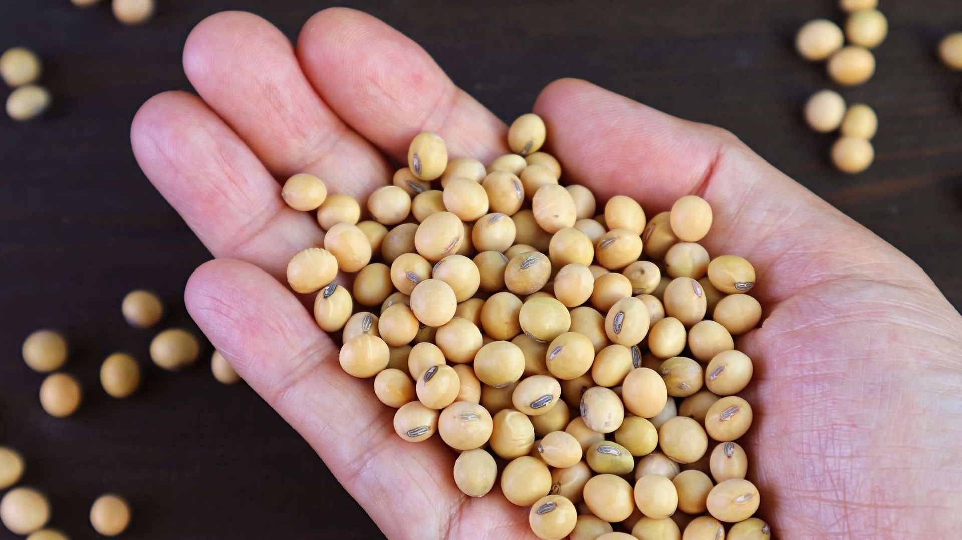 Soy Products May Result in Hormonal Complications