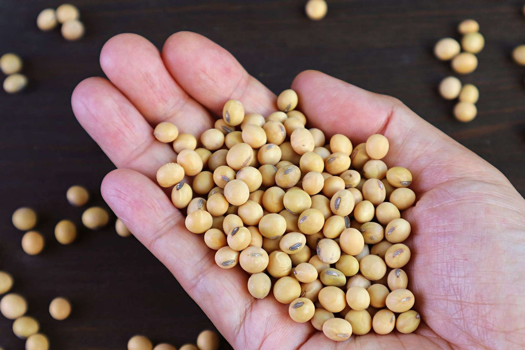 Soy Products May Result in Hormonal Complications