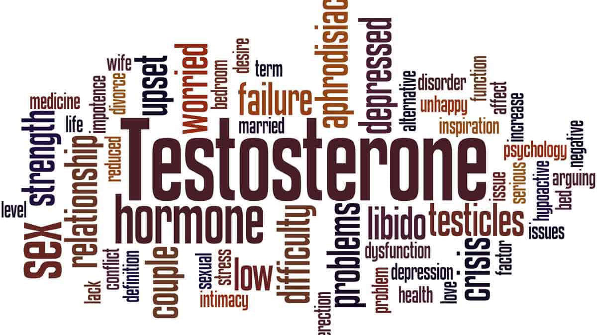 Testosterone and Brain Health