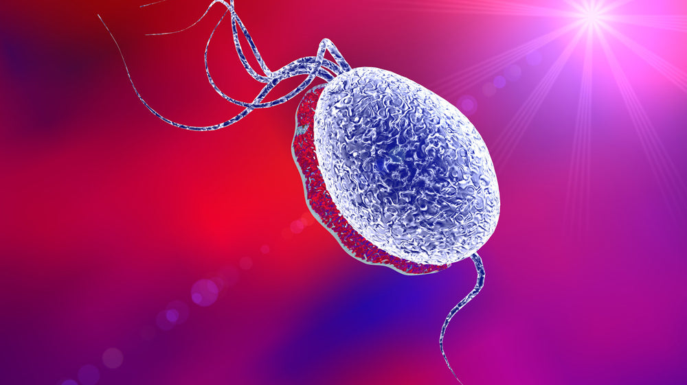 Trichomoniasis