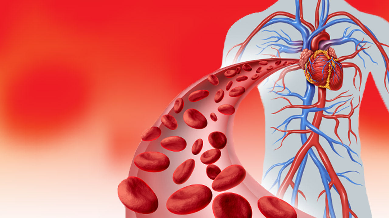 Why you need a good blood flow