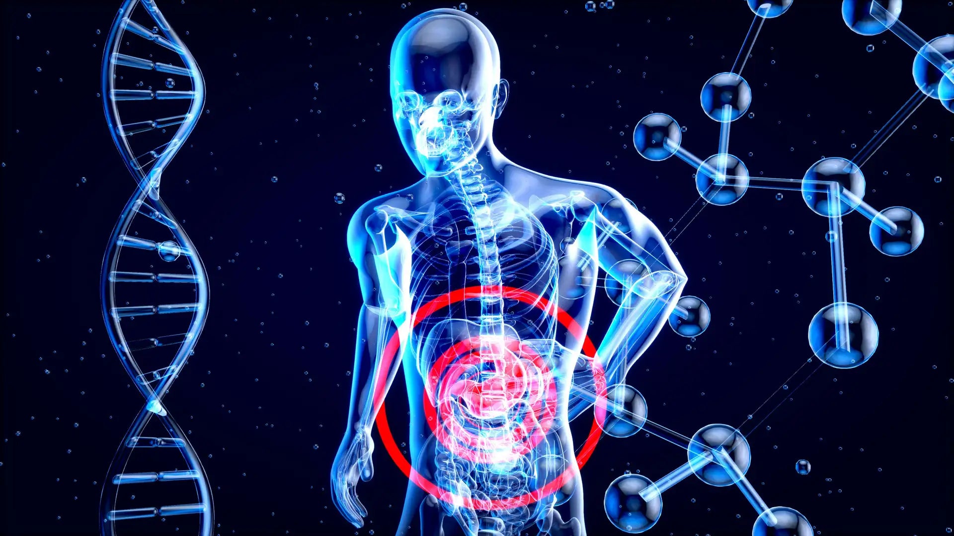 It is not your metabolism’s fault