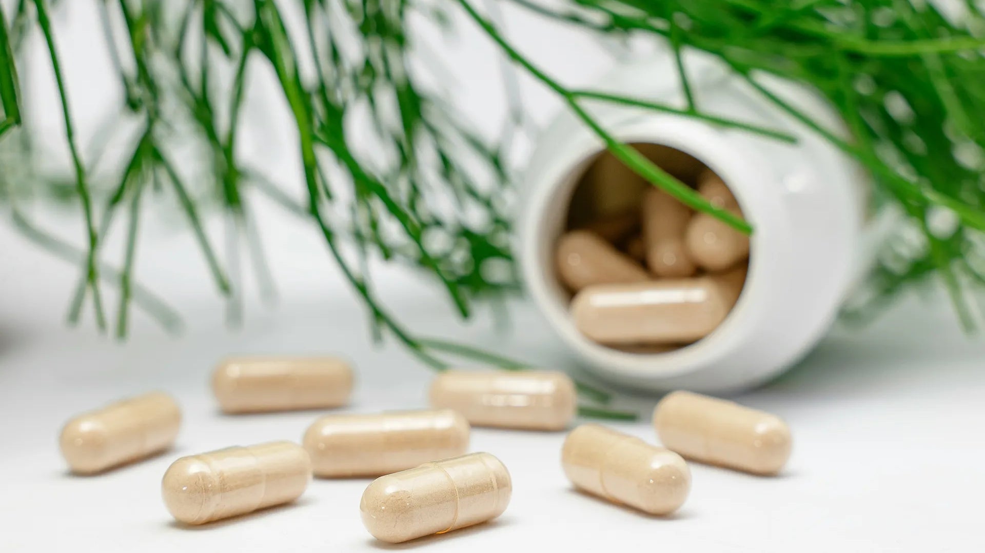 Zinc is vital for your sexual health
