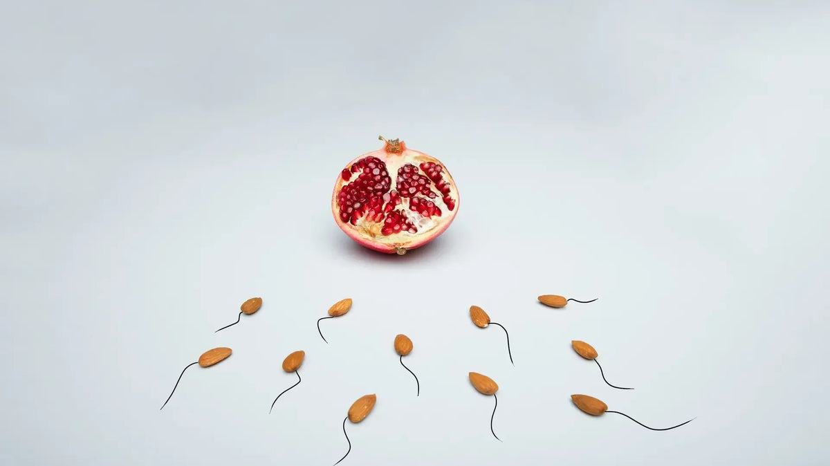 Conceptual image of almonds shaped like sperm swimming toward a pomegranate, representing fertilisation — photo by Deon Black