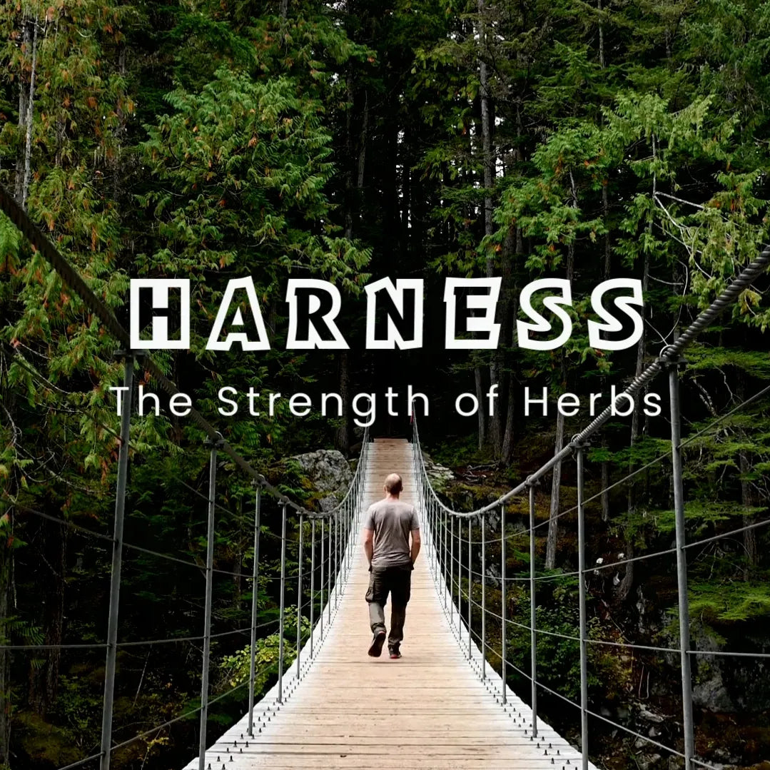 Specials ending at Midnight on Sunday 22 June 2025