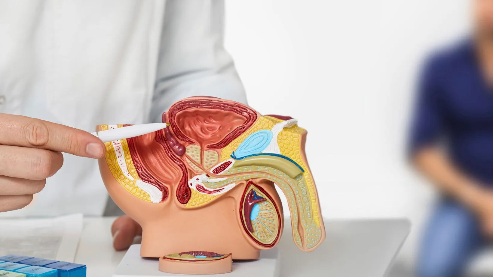 Enlarged Prostate - A Complex Problem