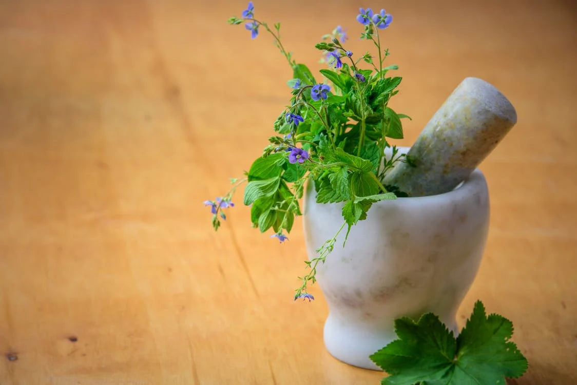 The Science of Herbal Remedies in Sexual Health