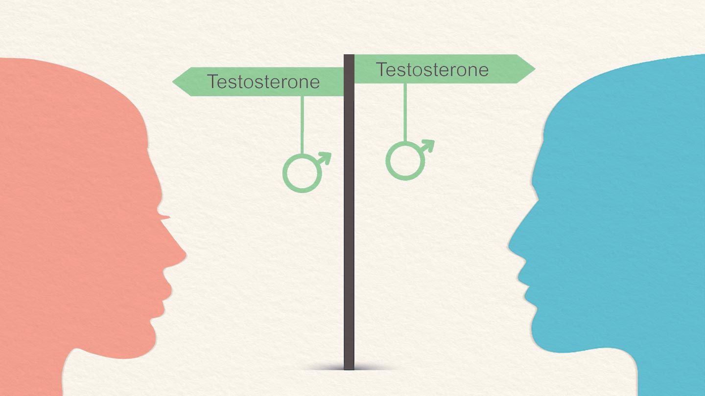 Testosterone Levels