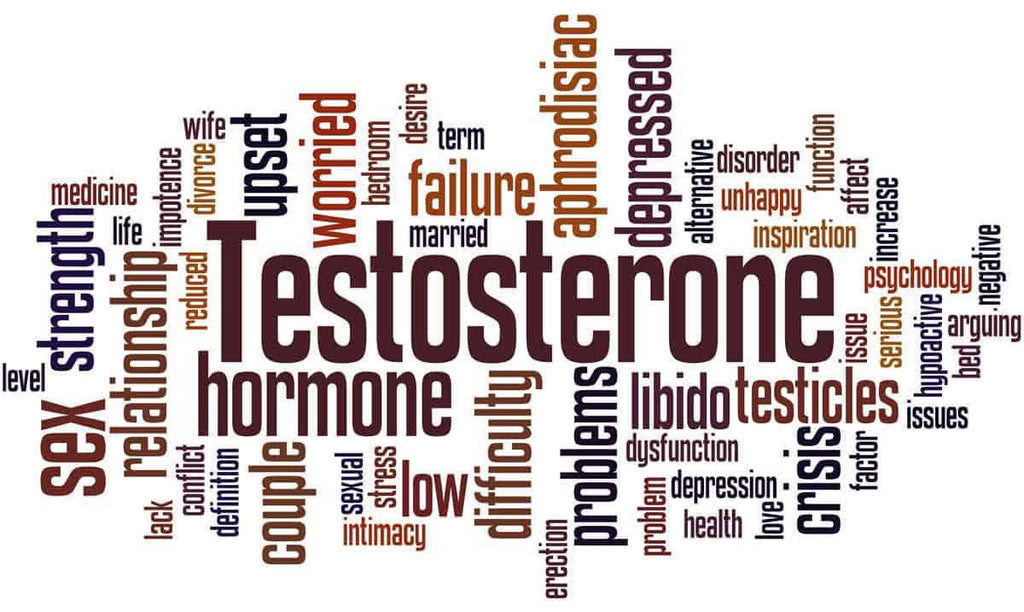Testosterone and Brain Health