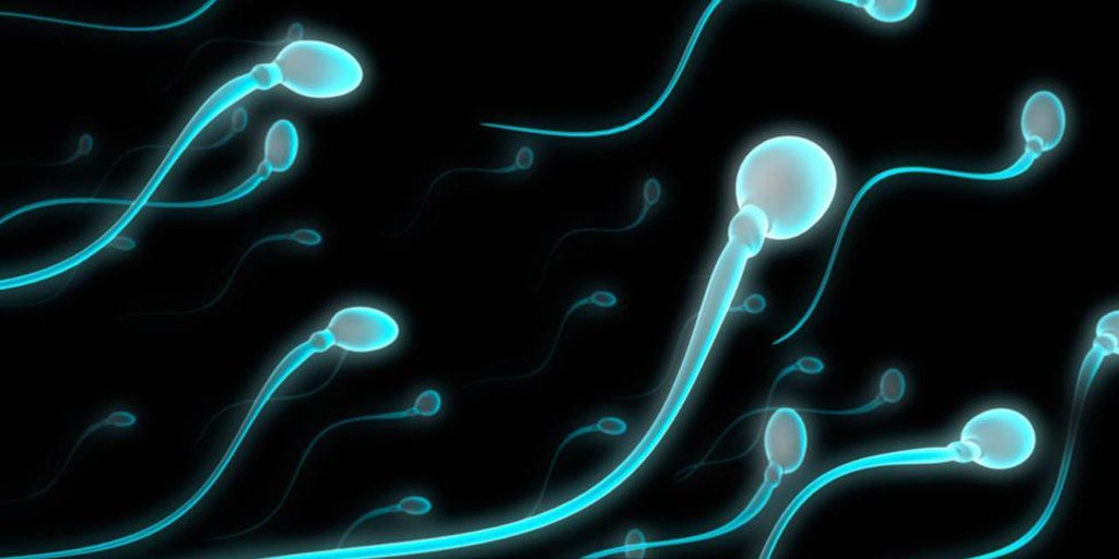 low sperm count