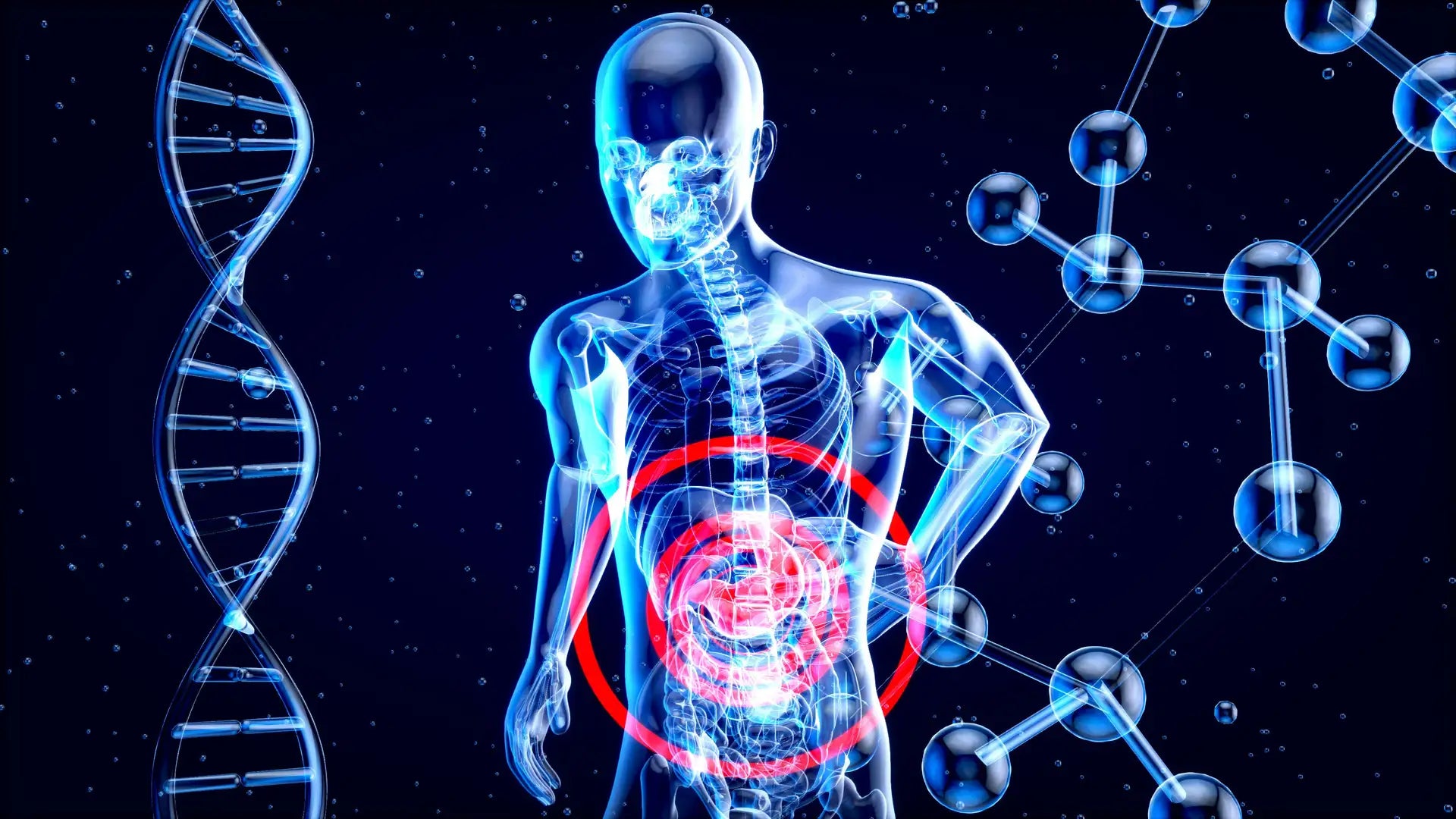 It is not your metabolism’s fault