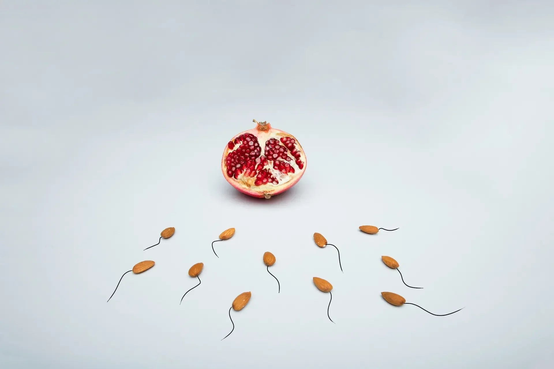 Conceptual image of almonds shaped like sperm swimming toward a pomegranate, representing fertilisation — photo by Deon Black